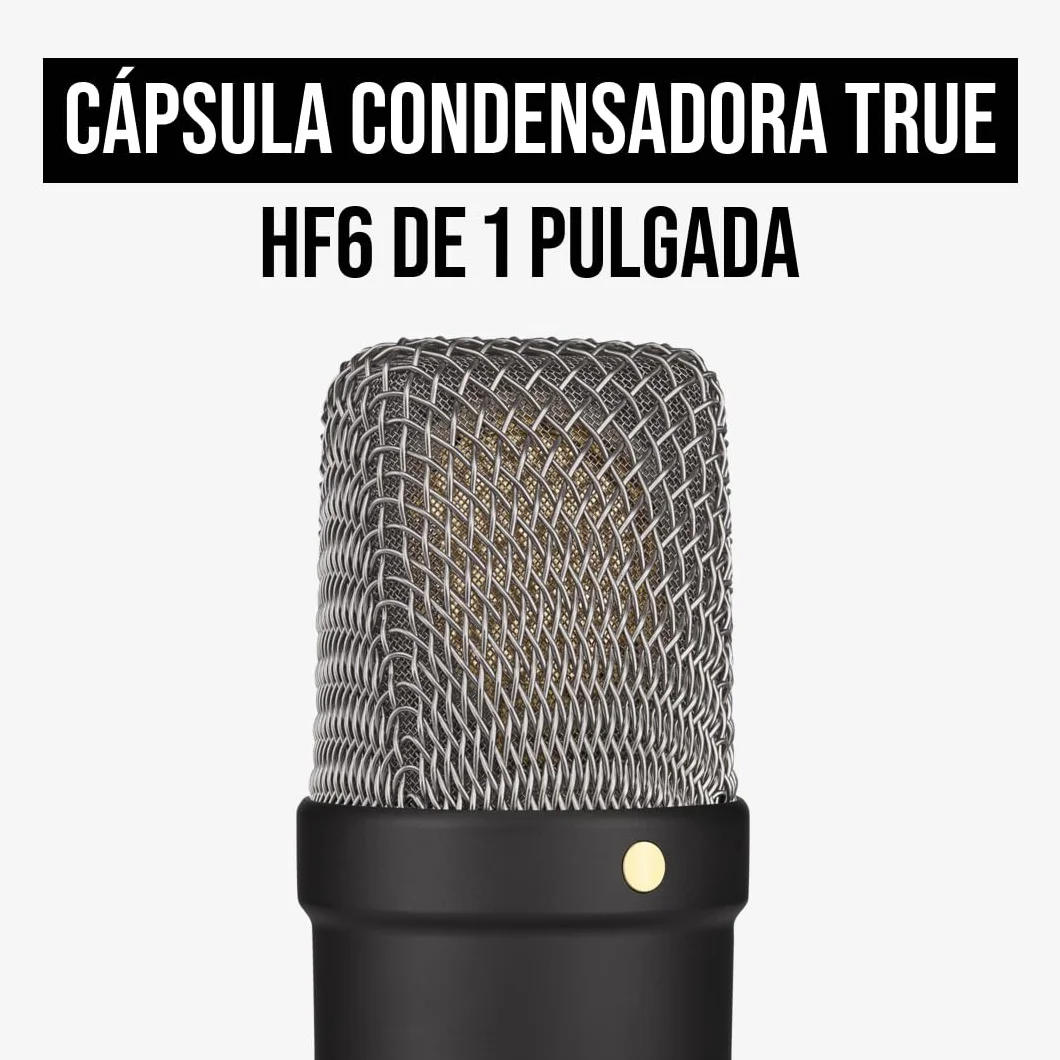 RØDE NT1 Signature Series micrófono de condensador de gran diafragma de la con soporte antivibraciones, filtro antipop y cable XLR para producción musical, grabación de voz y podcasting (Negro)