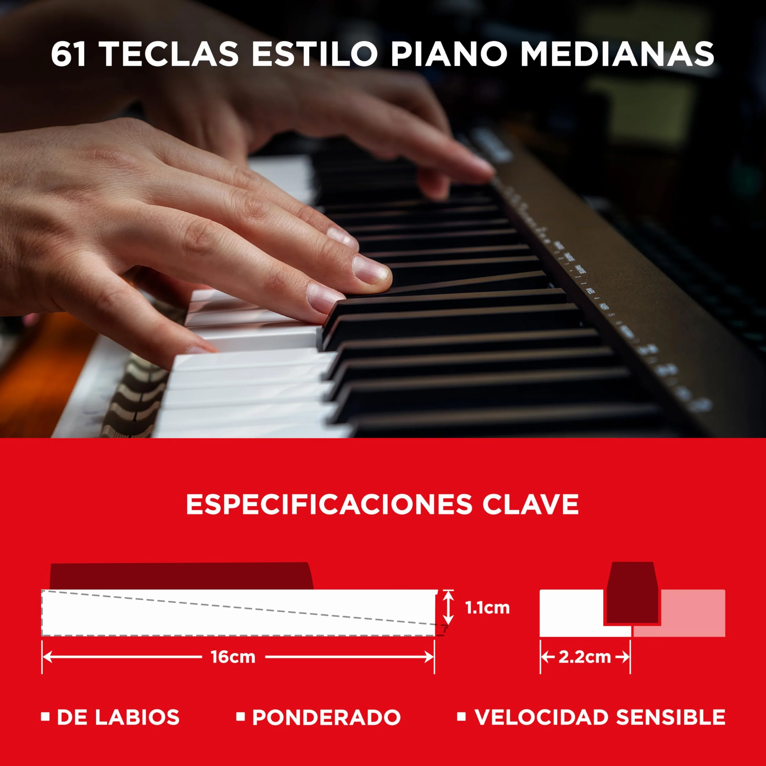 M-AUDIO Keystation 61MK3 Teclado Controlador MIDI Compacto de 61 Teclas con Controles Asignables, Ruedas de Cambio de Tono/Modulación, Conectividad Plug-and-Play (Mac/PC) y Software Incluida