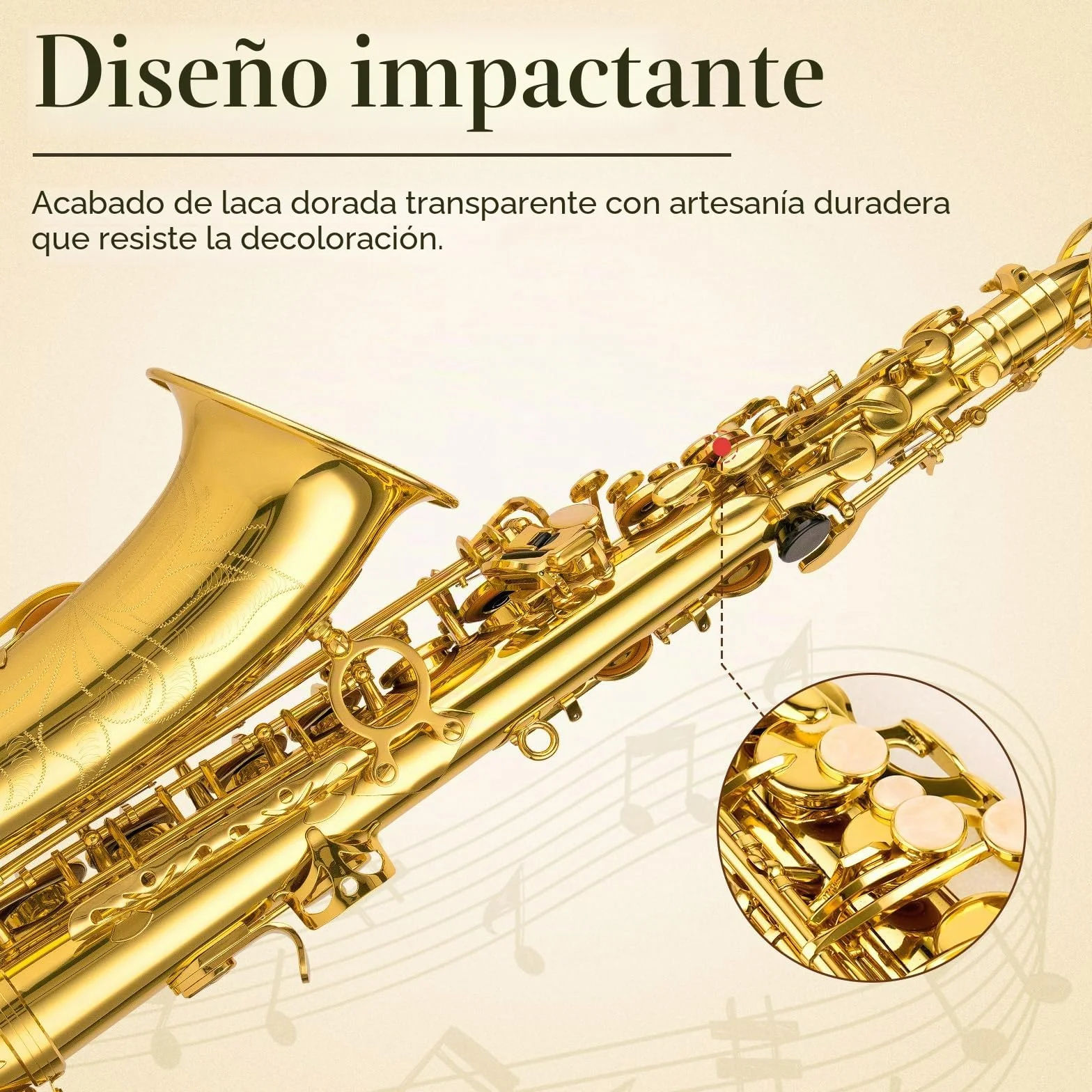 SONICAKE Saxofón Alto Mi bemol Barnizado en Oro, Kit completo para principiantes con estuche, boquilla, cañas, soporte y accesorios QSX-01