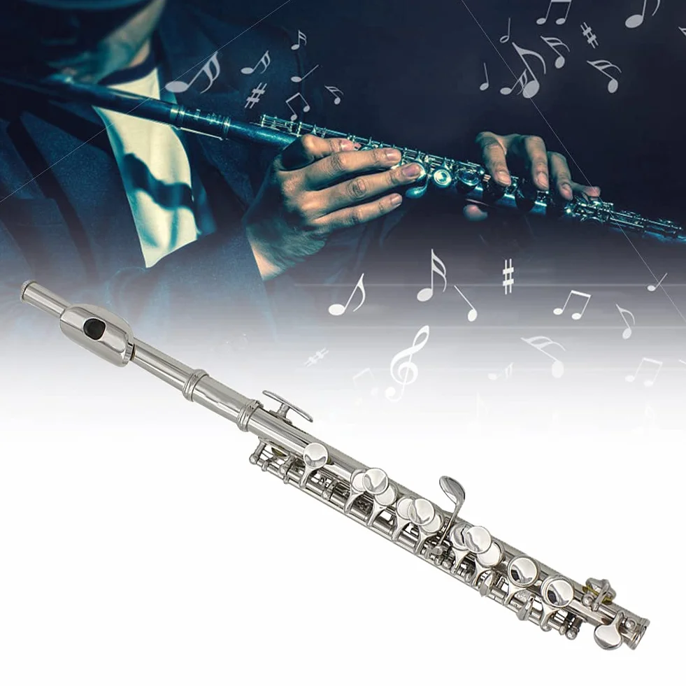 Walfront Piccolo C Desmontable Bañado en Plata con Material de Primera Calidad, Diseño Ergonómico y Varios Accesorios para Músicos en Caja de Cuero Negro (SILVER)
