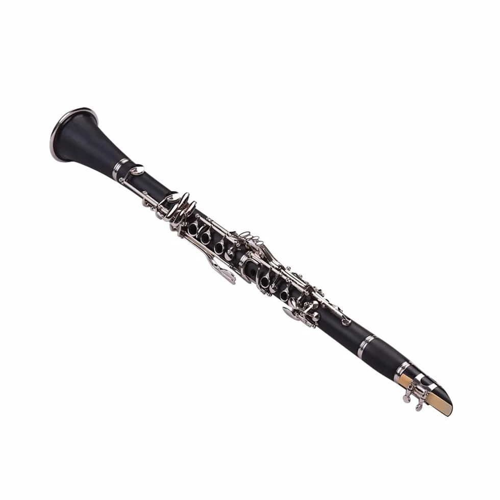 Clarinete ABS 17 llaves bB, clarinete binocular plano de soprano, incluye paños de limpieza y guantes, 10 cañas con estuche, destornillador, instrumento de viento de madera