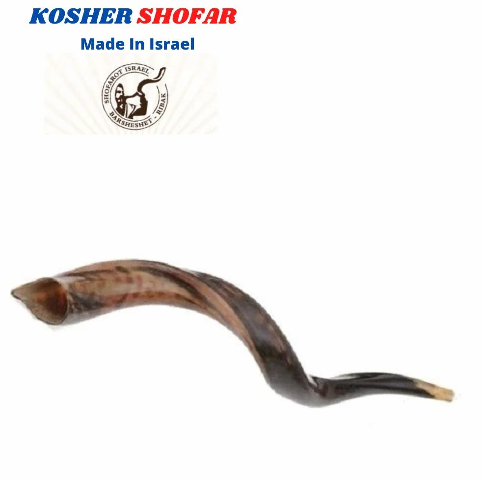 Cuerno kudu kosher auténtico kosher de 48 a 63 cm, judío Shofar, judío, Israel
