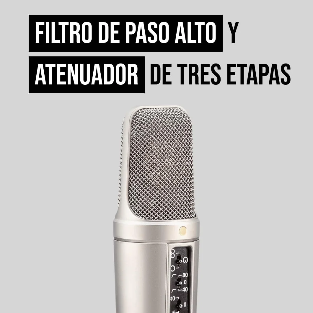RØDE NT2-A Micrófono de condensador cardioide de gran diafragma versátil RØDE NT2-A con patrón polar conmutable, atenuador y filtro paso alto para grabación de voces e instrumentos