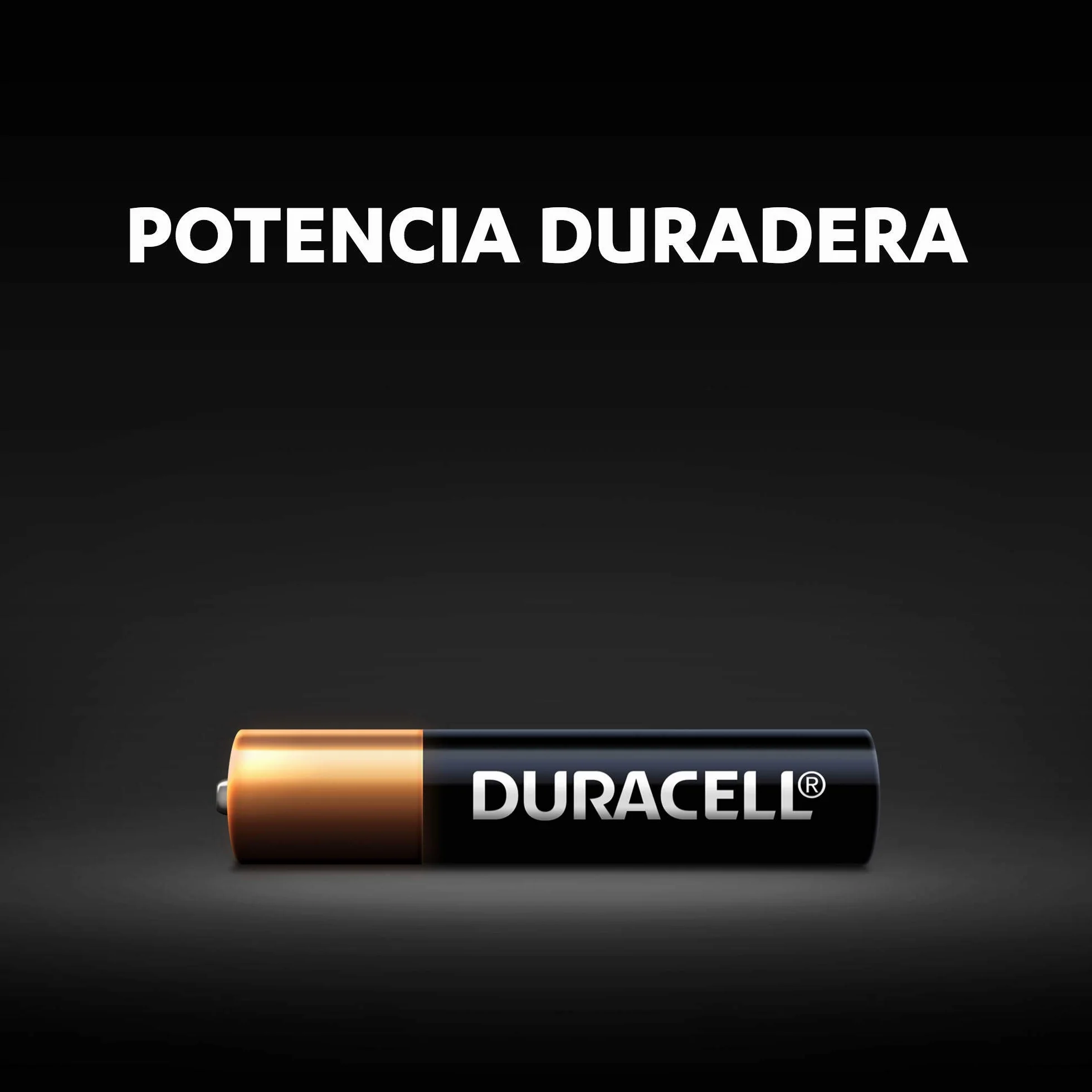 Duracell pilas alcalinas AAAA 1,5 V paquete de 2 LR8D425