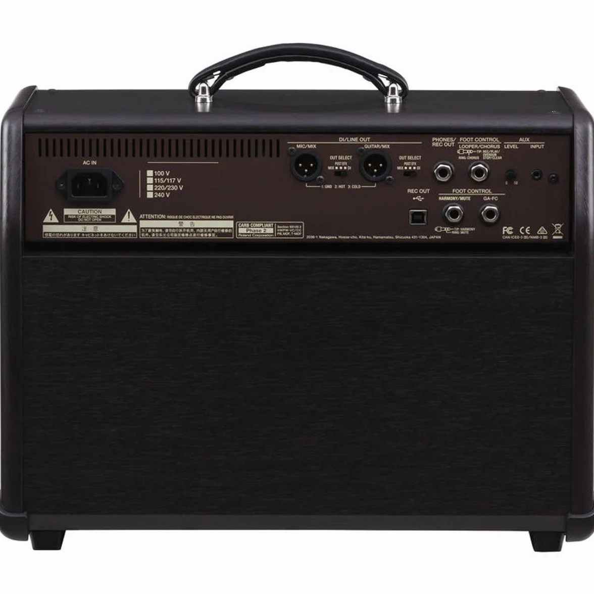 BOSS ACS-Pro - Amplificador acústico