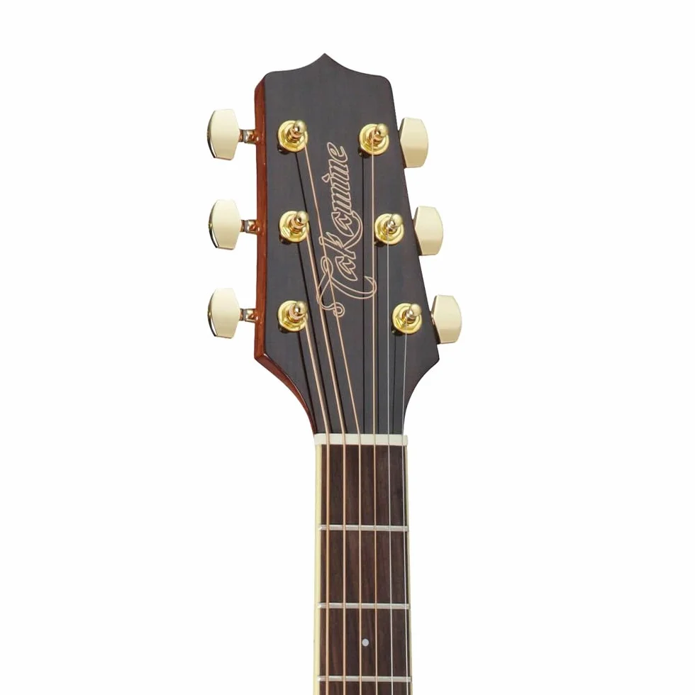 Takamine GD51CE-NAT Natural