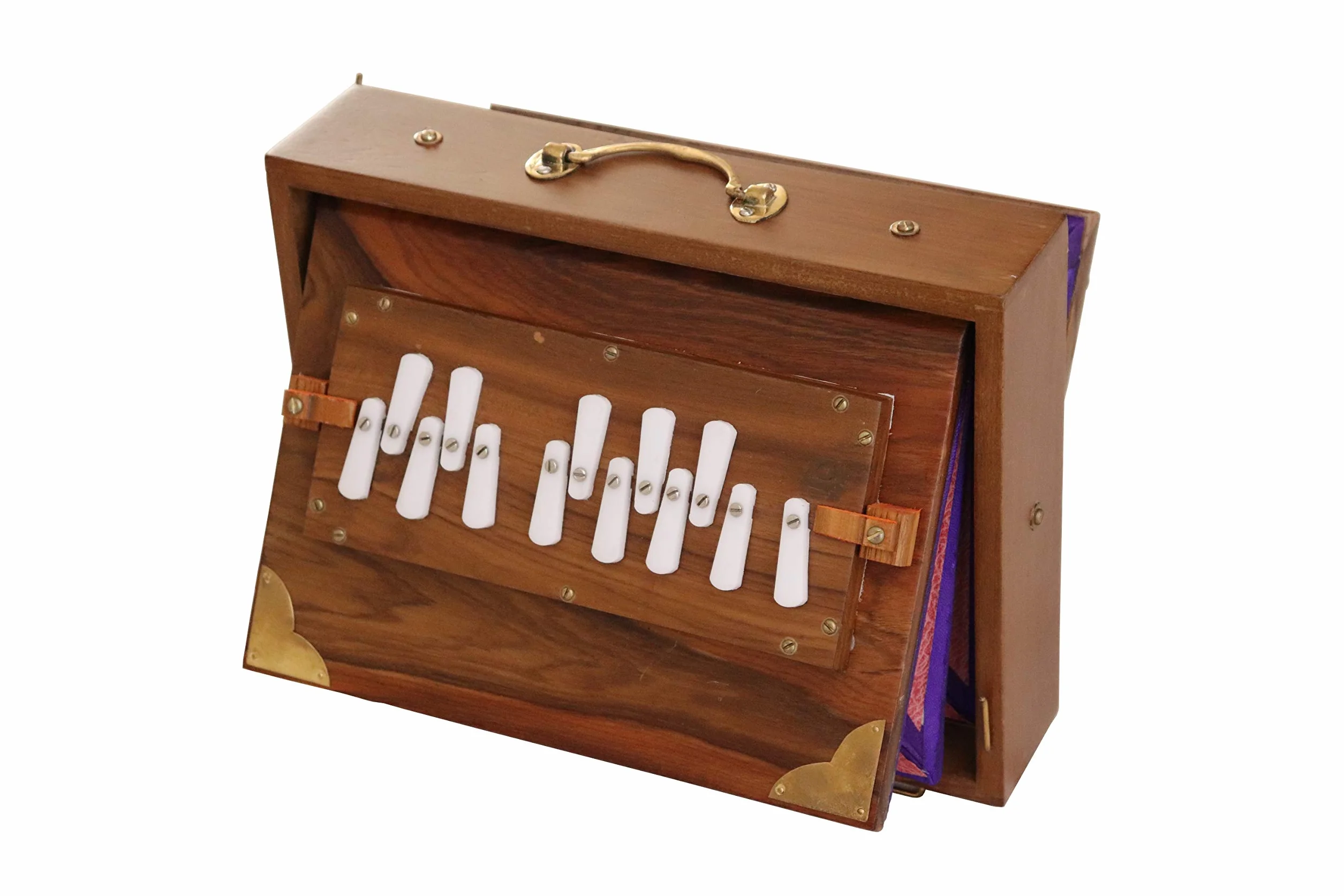Shruti Box Raga Mini, modelo profesional, madera KAIL, escala de DO a DO (DO3 a DO4), 30 x 22 x 8,5 cm, peso de 2,5 kg, ajuste de 440 Hz (432 Hz bajo pedido)