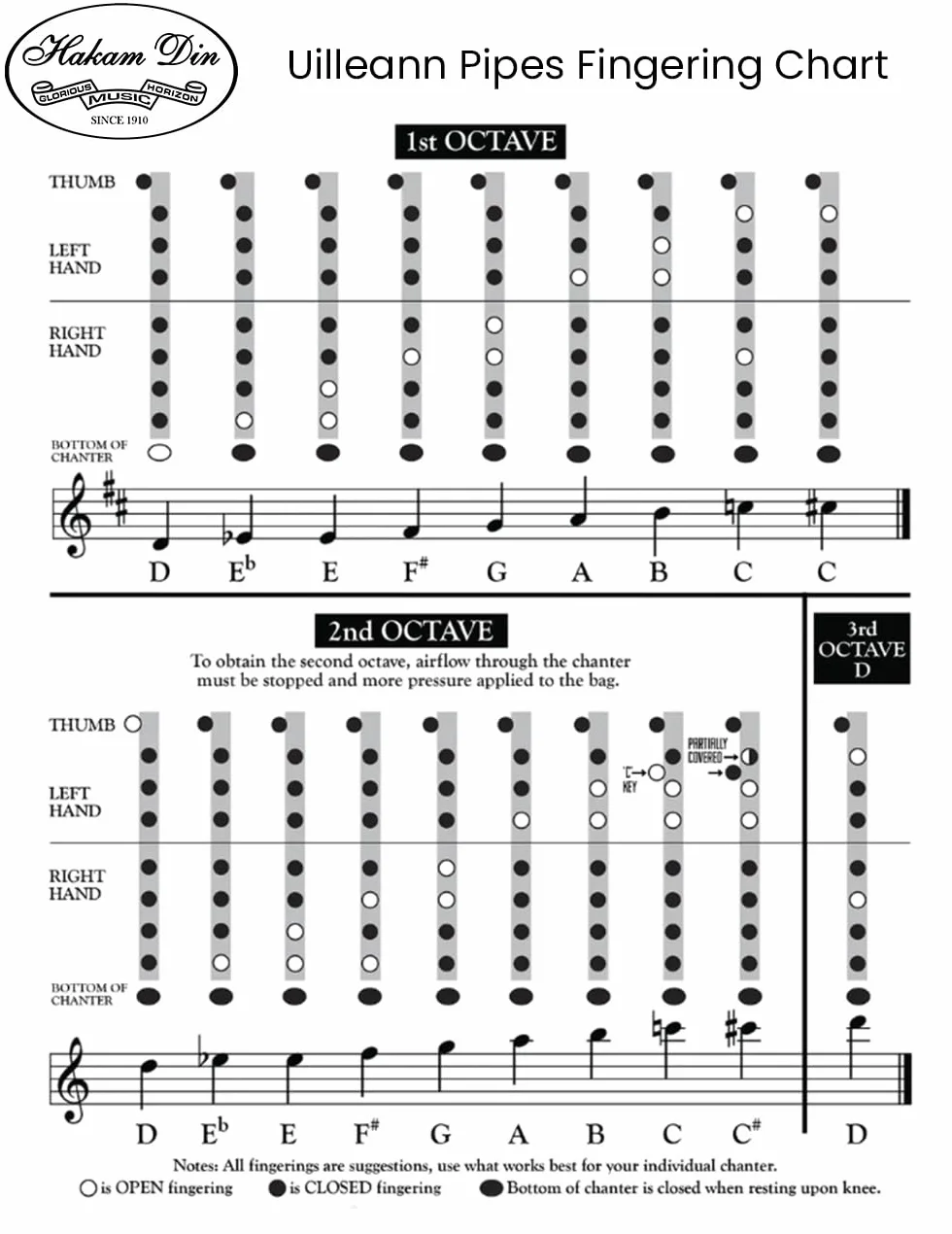 Irish Uilleann - Juego de práctica de pipas en D para estudiantes, para principiantes, juego de gaitas irlandesas con un cántico de 3 teclas, caña y un folleto guía para principiantes