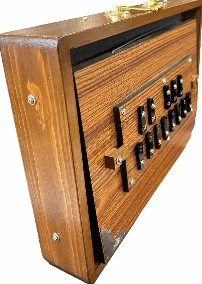 Shruti Box Caja de madera de teca, caja Shruti para instrumentos musicales con bolsa afinada 440Hz, color natural (15 x 10 x 3 pulgadas)