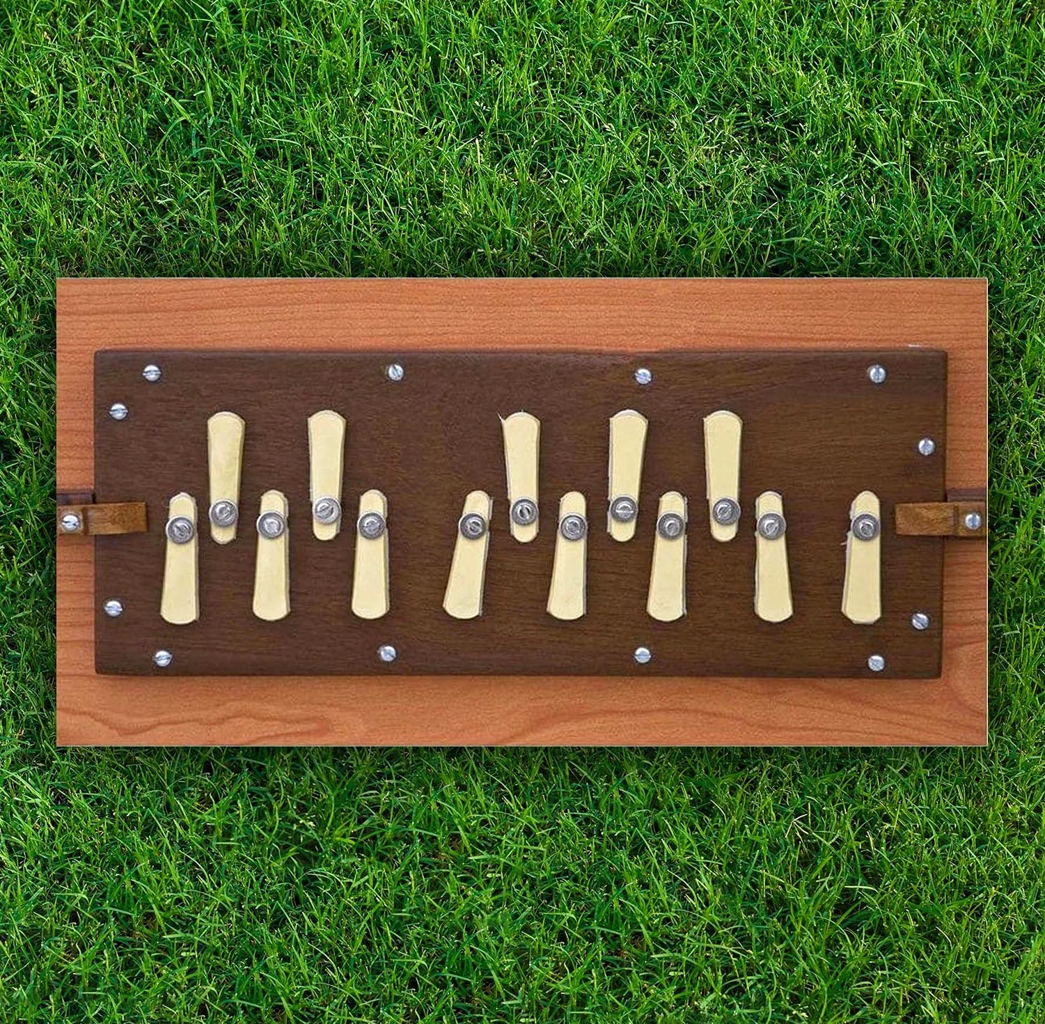 Caja Shruti, grande y pequeña Madera de teca pura Sur Peti con forma Bolsa, Color natural, Instrumento musical sintonizado 432 Hzand 440Hz (Made in INDIA))