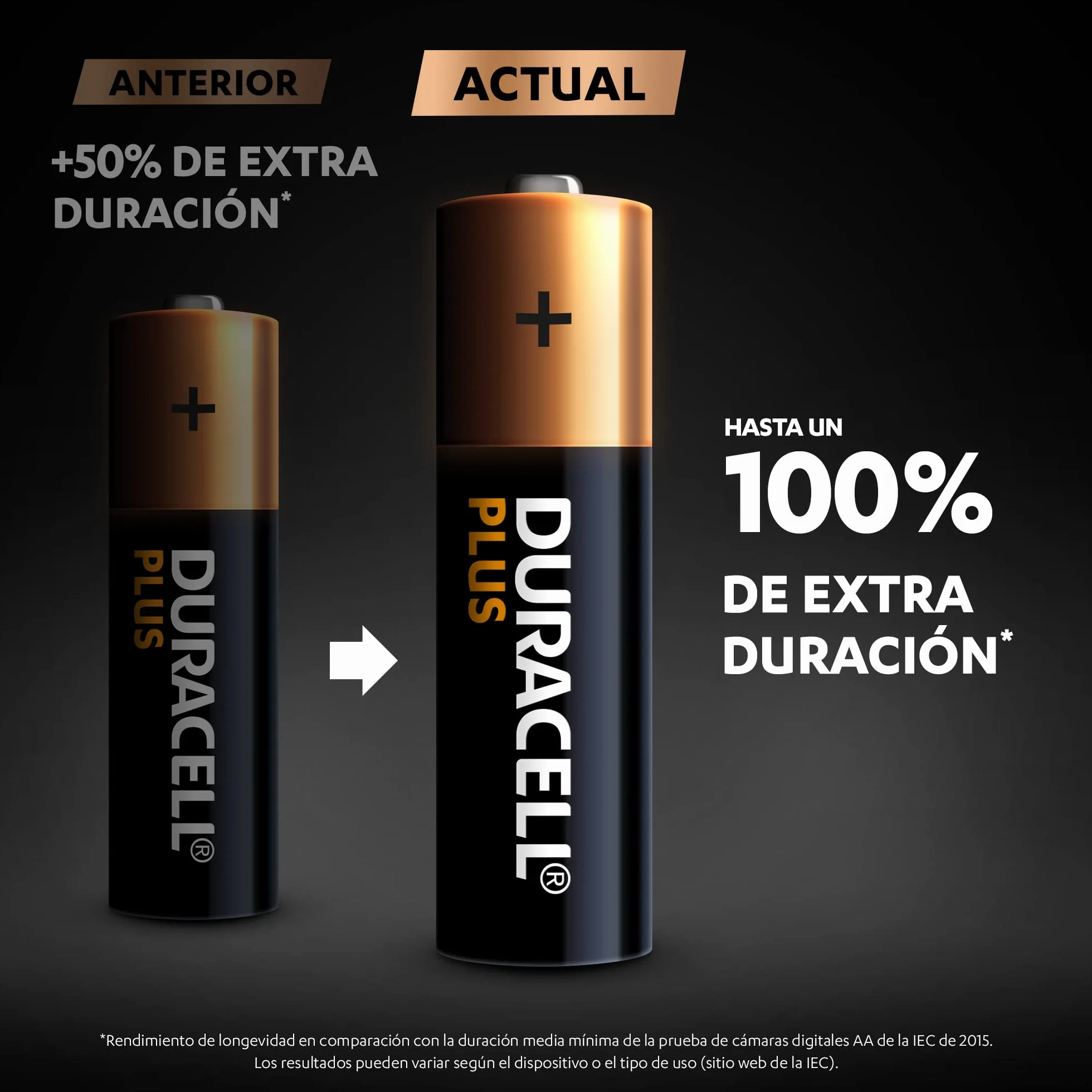 DURACELL Plus Pilas AA 1,5 V Alcalinas Paquete 24 MN1500