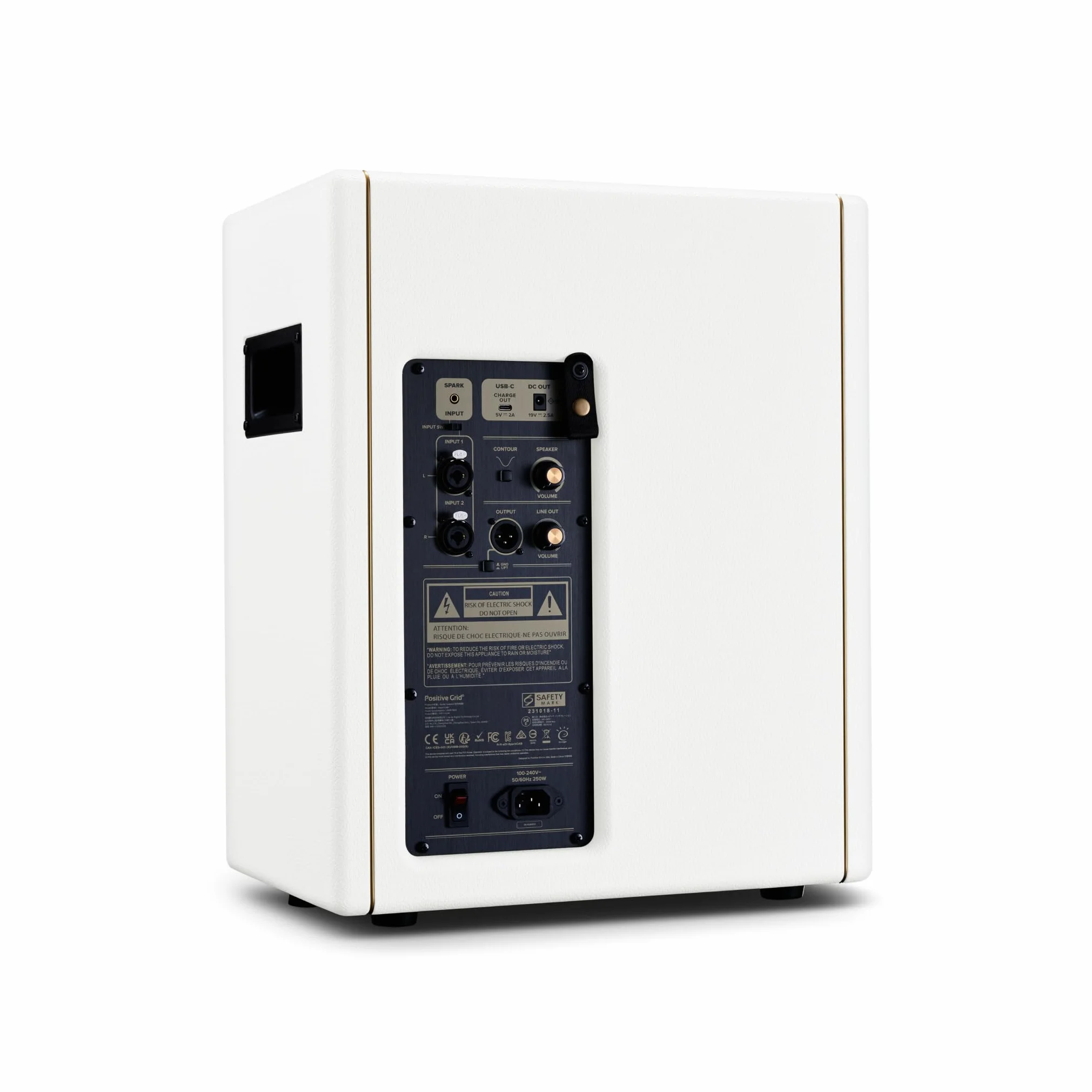Positive Grid Spark Cab Gabinete de Altavoz de Amplificador de Guitarra, Alimentado para Amplificadores de la Serie Spark, Múltiples Instrumentos, Modeladores y Más. – Perlado