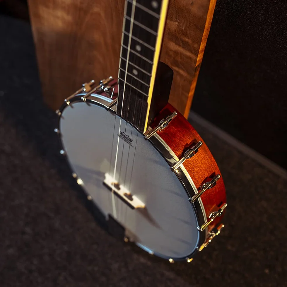 Washburn B-9 5-string Banjo - Natural