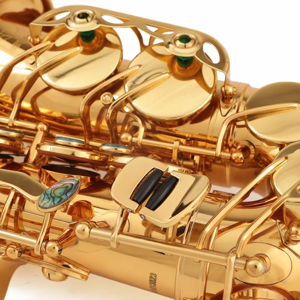 Bullfighter Saxofón alto lacado dorado de cobre con funda rígida, correa, guantes, paño de limpieza, cepillo de limpieza, boquilla de repuesto S-10 (dorado)