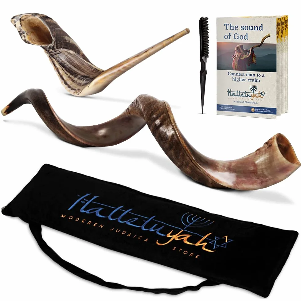 HalleluYAH Shofar kudu yemenita de Israel más cuerno de carnero gratis