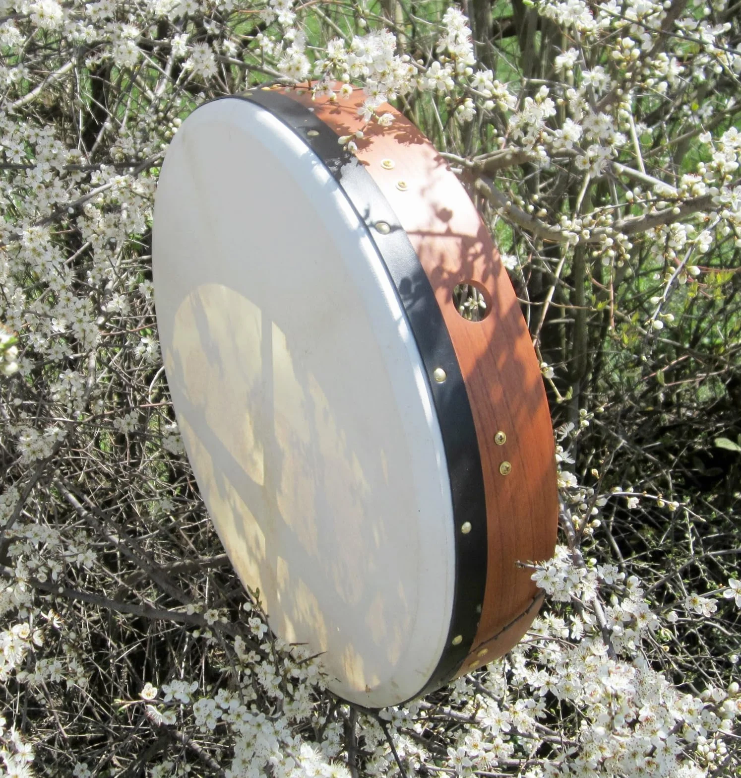 Mid-East - Bodhrán (tambor celta irlandés, se puede afinar, incluye libro de texto en inglés)