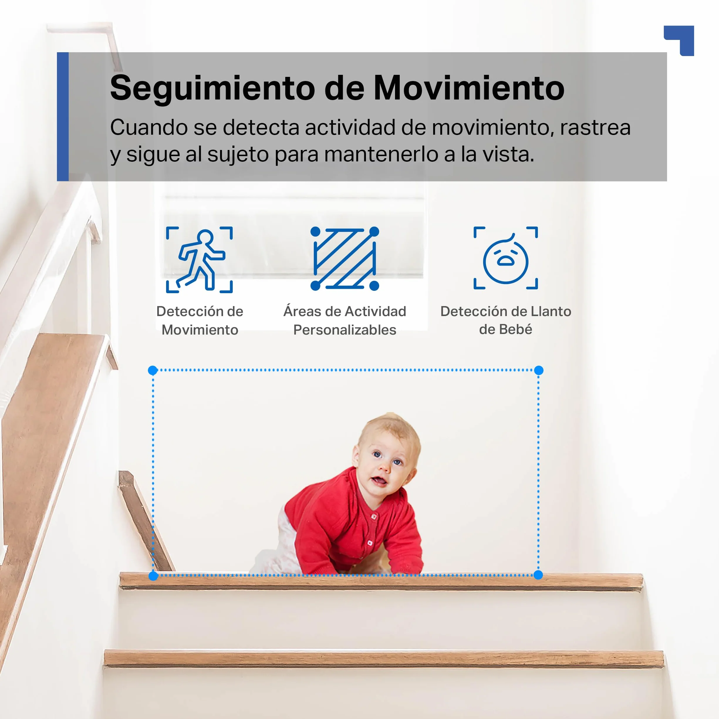 Tapo C21A 2K 3MP Cámara vigilancia WiFi Interior 360° visión Nocturna detección Persona Compatible Alexa