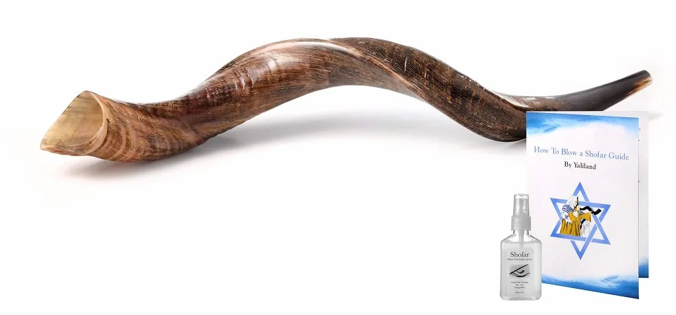 Shofar de cuerno de kudú yemení con spray antiolor gratuito, guía shofar de Israel (76-81 cm (30"-32 pulgadas)), natural)