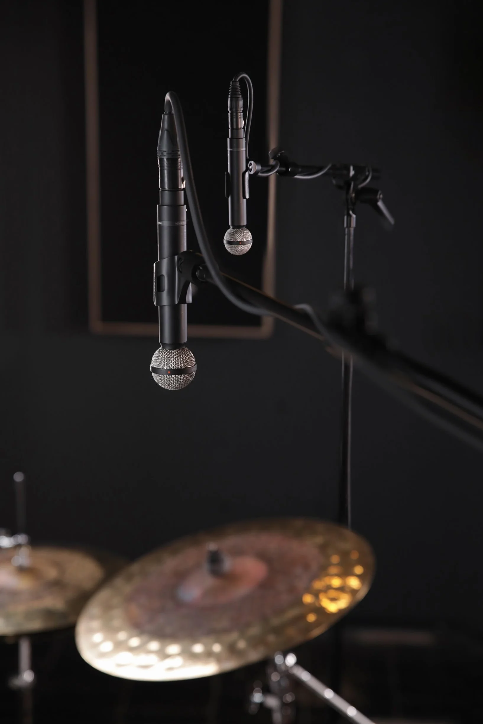 beyerdynamic M 160 Micrófono dinámico de Doble Cinta (hipercardioide)