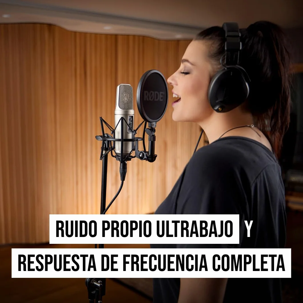 RØDE NT2-A Micrófono de condensador cardioide de gran diafragma versátil RØDE NT2-A con patrón polar conmutable, atenuador y filtro paso alto para grabación de voces e instrumentos