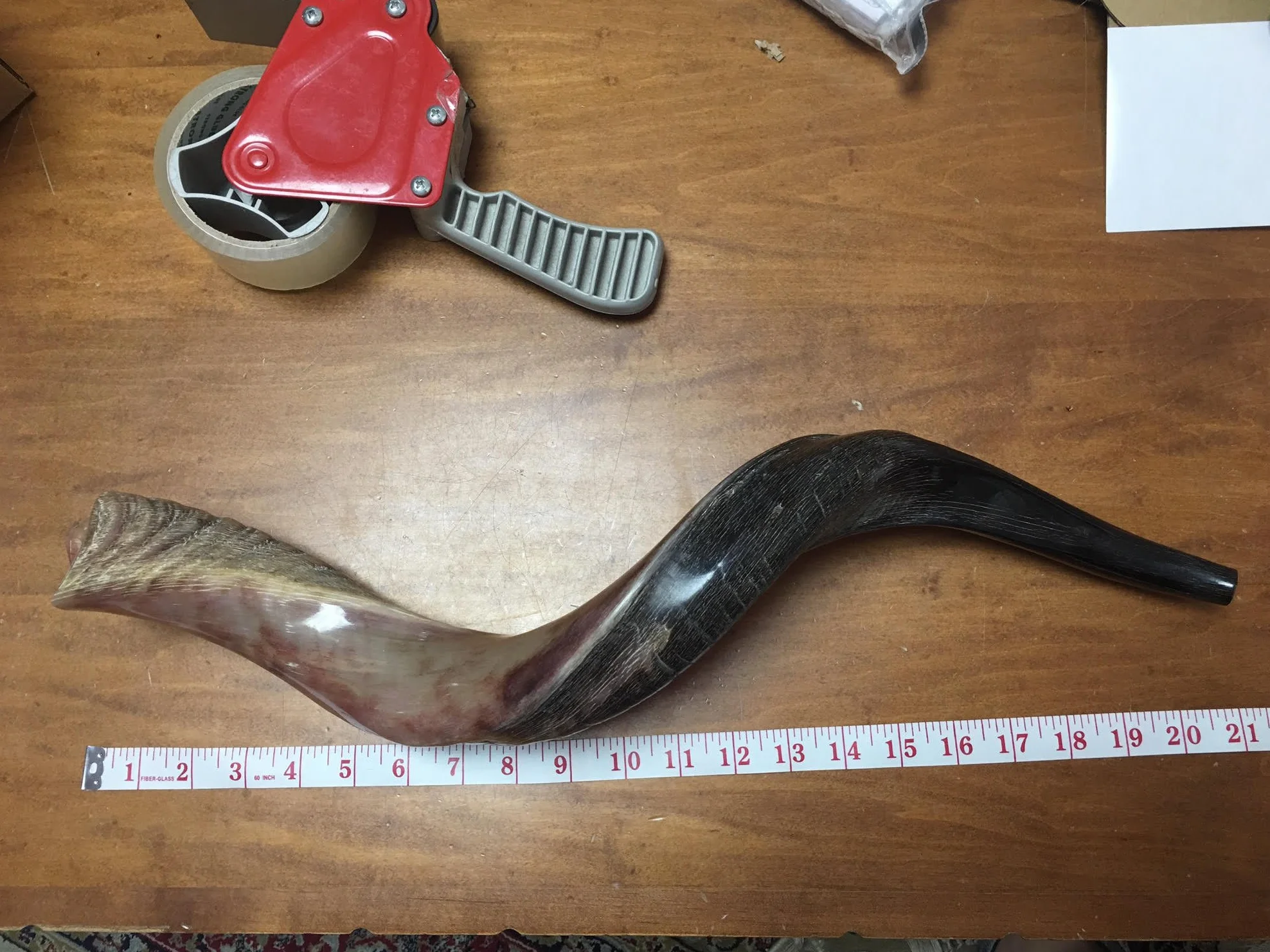 16-19 "natural auténtico Yemenite Kosher Kudu cuerno Shofar – judío Israel
