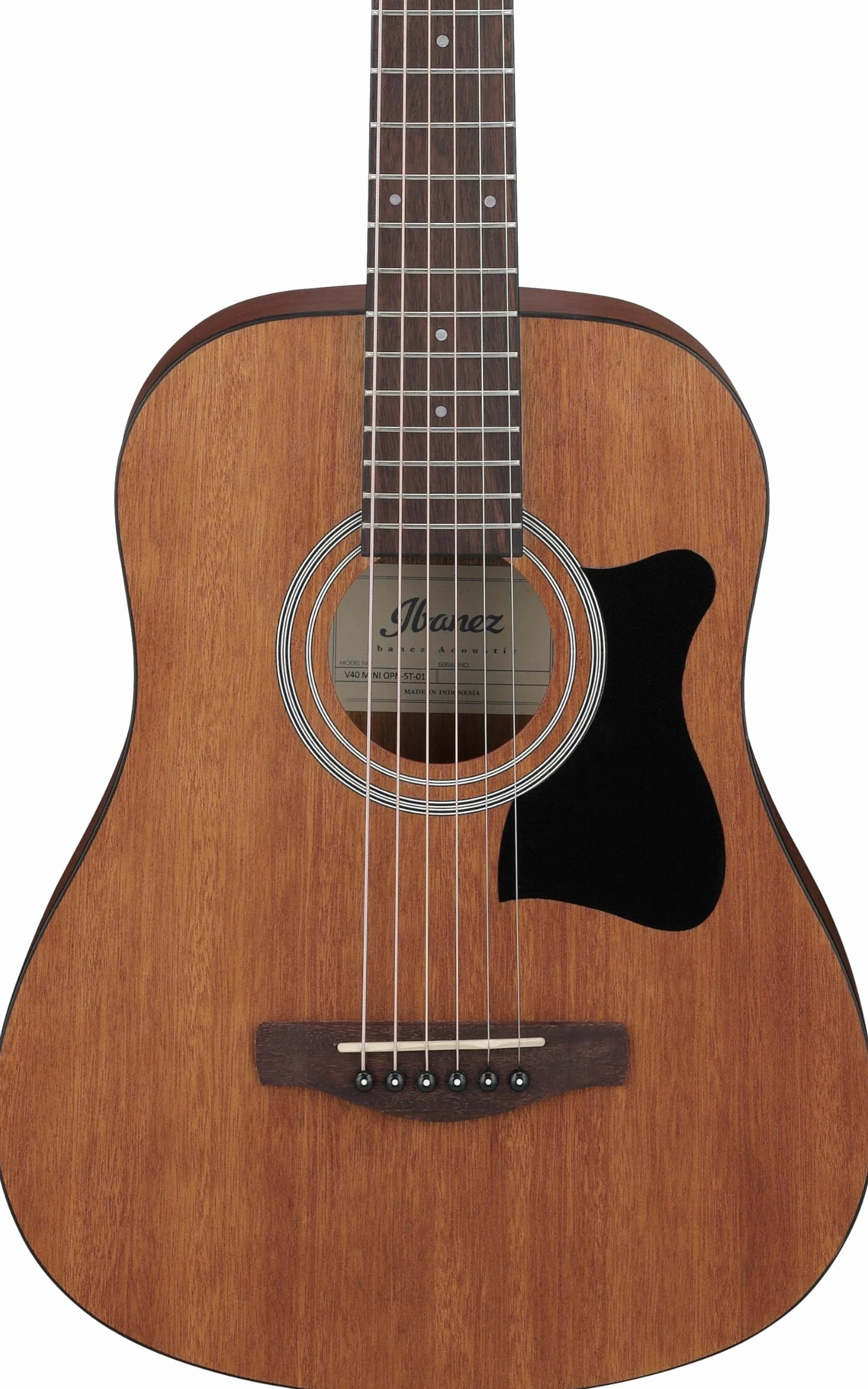 Ibanez Acoustic guitar / V44MINIOPN Standard