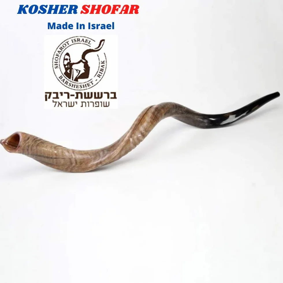 Cuerno kudu kosher auténtico kosher de 48 a 63 cm, judío Shofar, judío, Israel