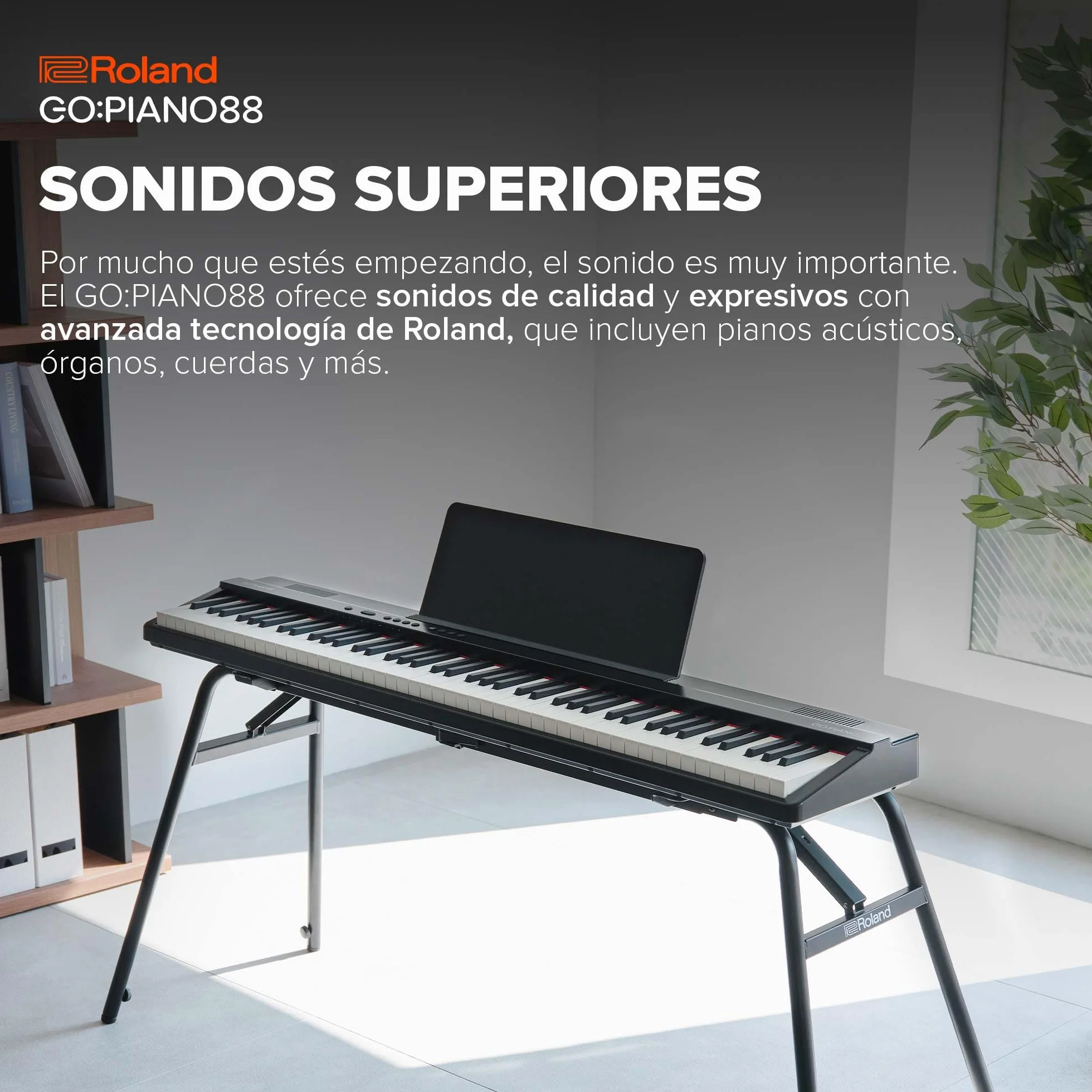 Roland GO:PIANO88 | Piano digital de 88 notas portátil y básico | Prestaciones prémium | Diseño ligero | Potentes funciones didácticas | Funcionamiento a pilas | Conexiones Bluetooth y MIDI
