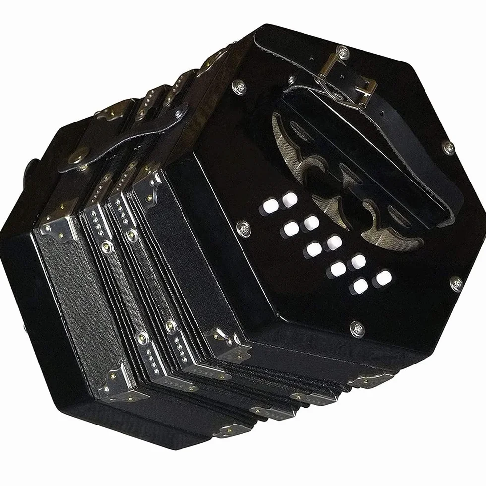 Acordeón Concertina De 20 Botones, Con Bolsa De Transporte, Correa De Mano Ajustable, For Adultos, Niños, Principiantes, Práctica Diaria, Puesta En Escena