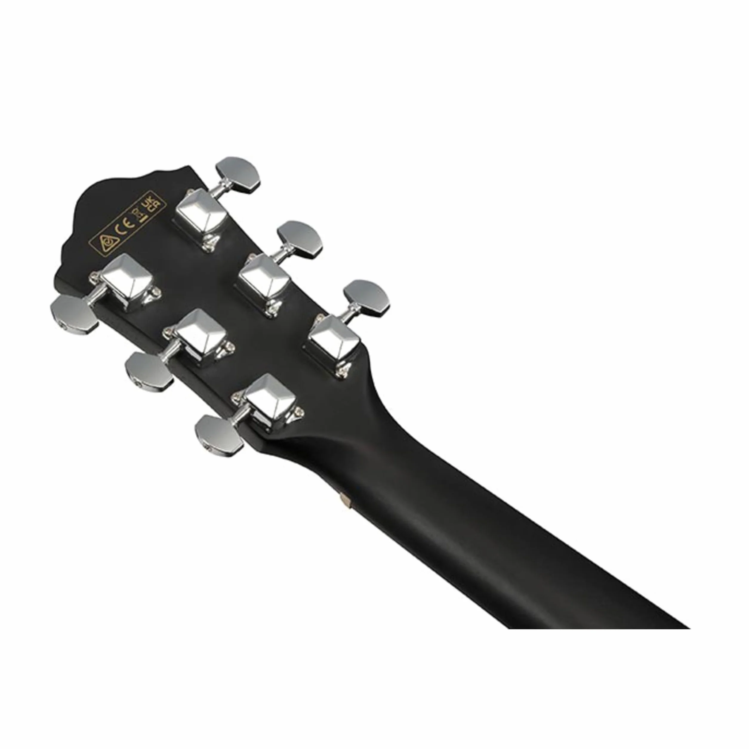Ibanez Acoustic Guitar / V44CEWK