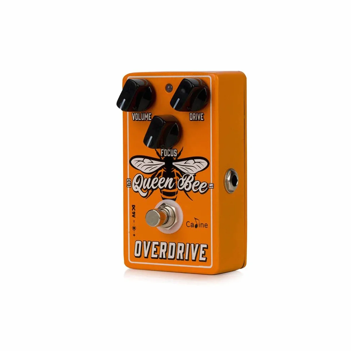 Caline CP-503 Queen Bee Overdrive Pedal