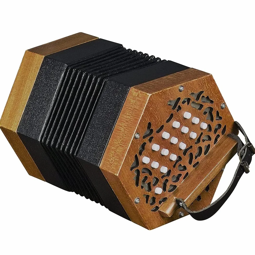 Concertina De Acordeón De 30 Botones, Sonido Más Suave Y Fascinante, Instrumento De Teclado De Nivel Básico, Excelente Regalo For Niños Amigos, con Bolsa De Transporte