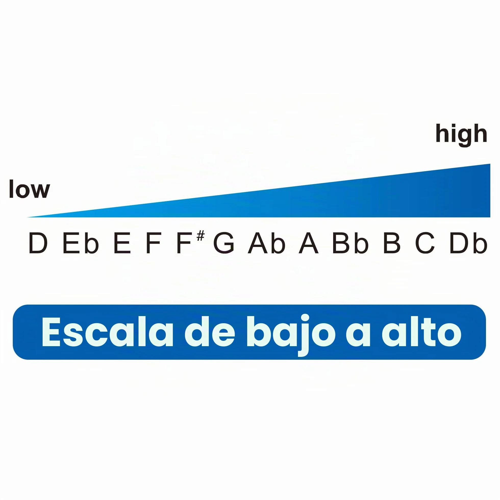 EAST TOP FORERUNNER 2.0 - Armónica cromática actualizada de 12 agujeros, 48 tonos, llave C, órgano de boca cromática, armónica para adultos, principiantes y estudiantes