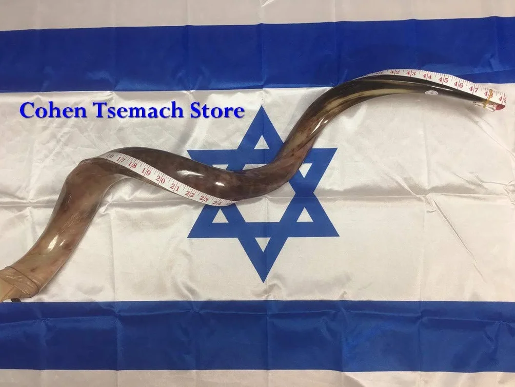 Kudu - Cuerno de Yemenita Shafar Kosher pulido (109,2 cm a 111,7 cm)