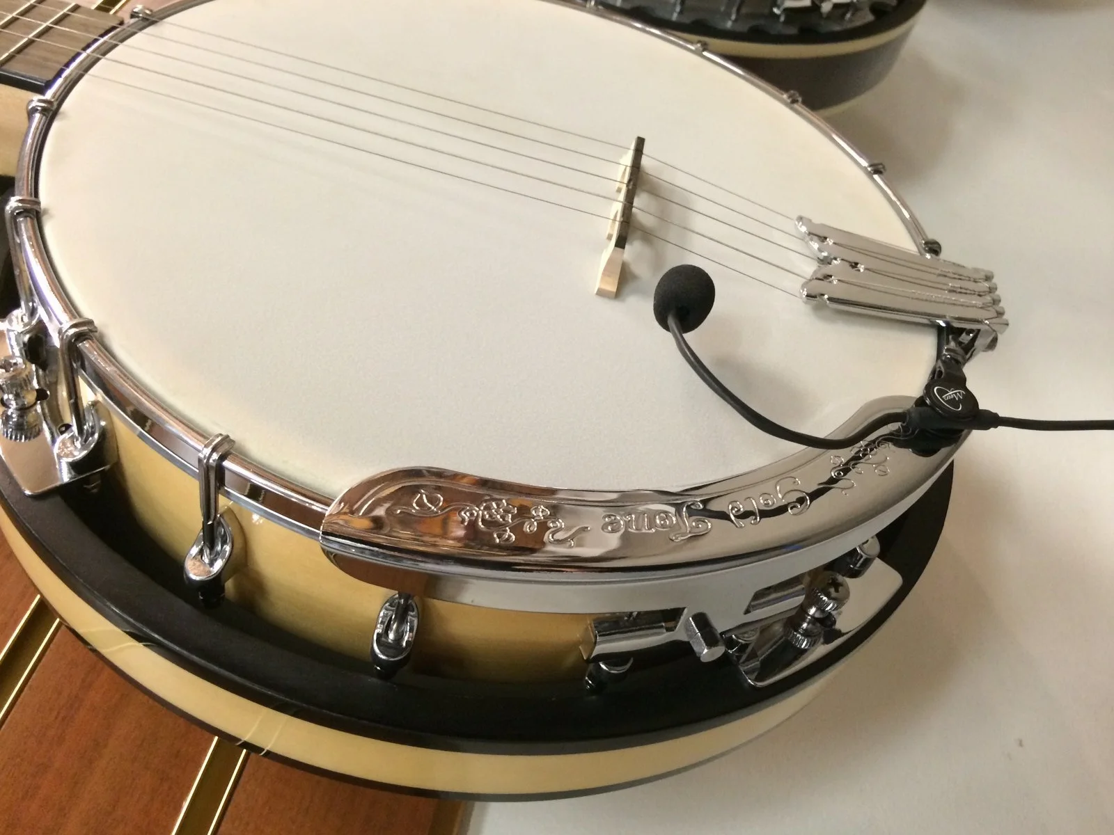 El Micrófono Feather Banjo con flexible Micro Cuello de Ganso por Myers Pickup