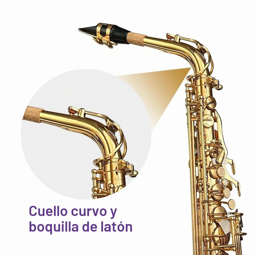 Kit completo de saxofón alto E Flat para adultos, saxofón alto, con funda de transporte, correas para boquilla, lengüetas, saxofón, kit para principiantes