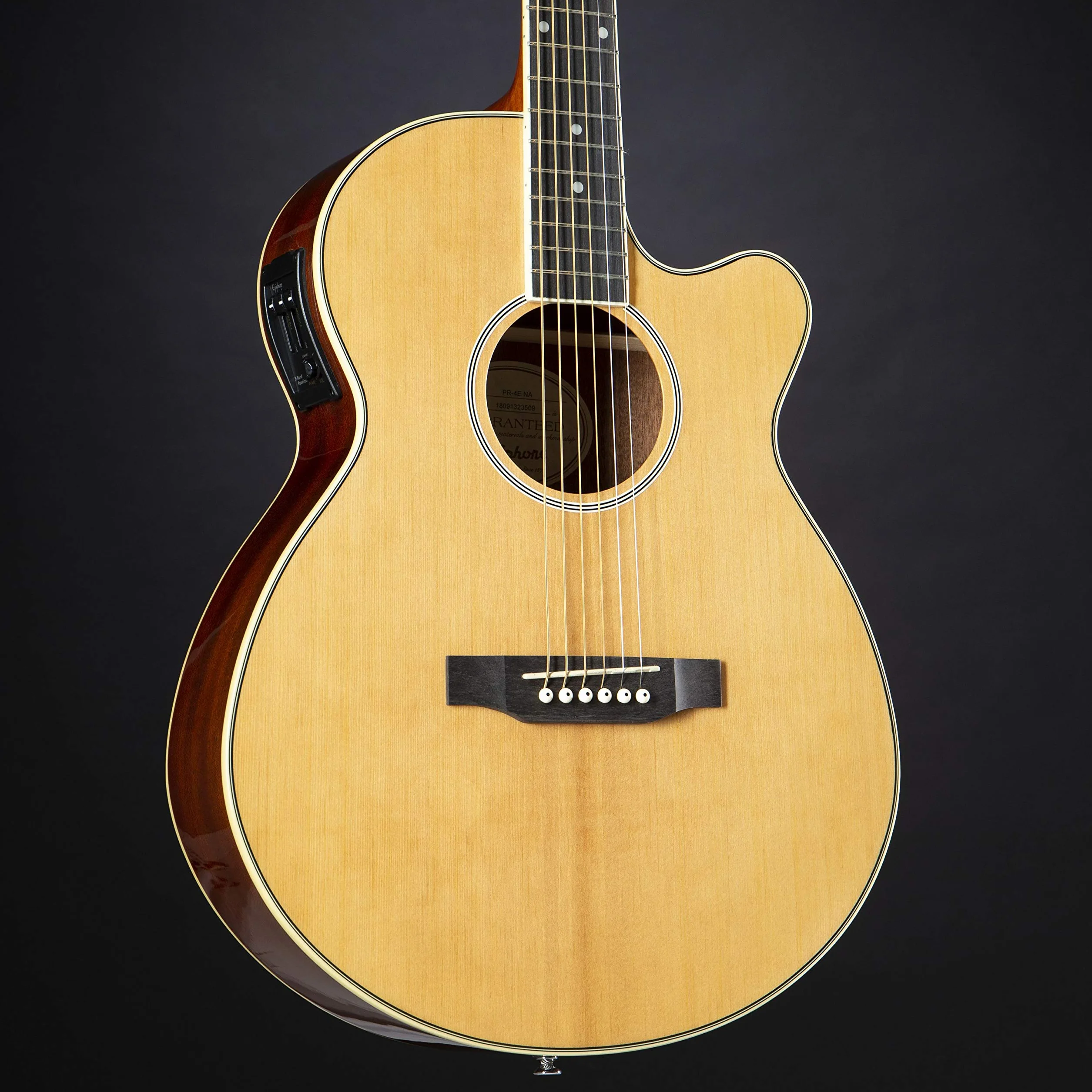 Epiphone PPGR-EEP4NACH1-EU PR-4E - Pack de guitarra acústica (240 V)