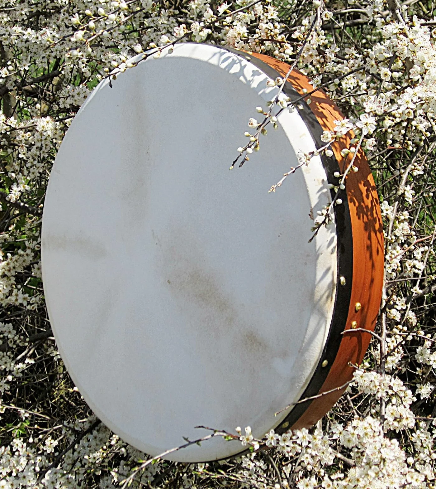 Mid-East - Bodhrán (tambor celta irlandés, se puede afinar, incluye libro de texto en inglés)