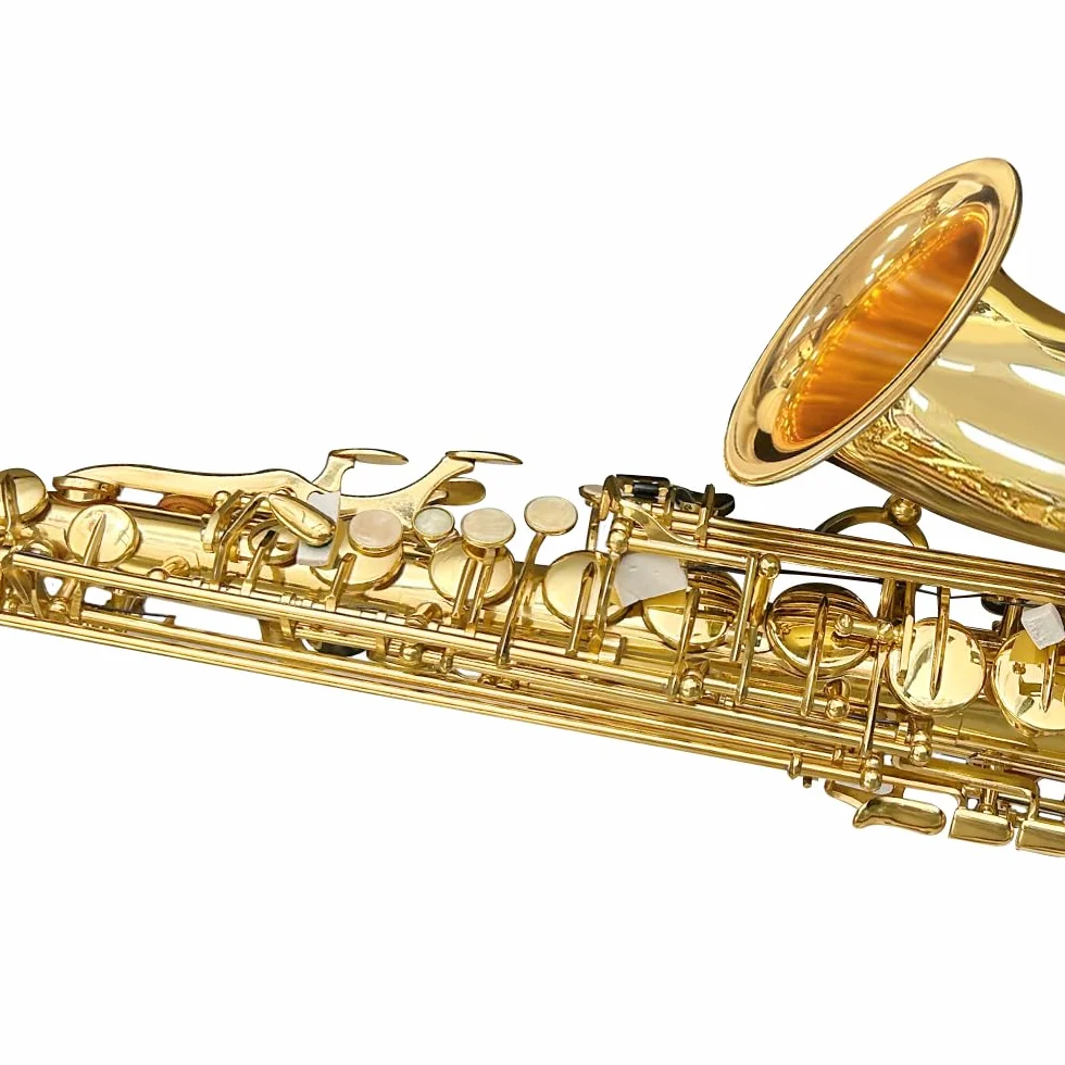 Yinfente Saxofón plano con 10 lengüetas, 8 almohadillas, funda rígida y más, para estudiantes, principiantes, adultos, saxofón alto, kit de saxofón(oro)