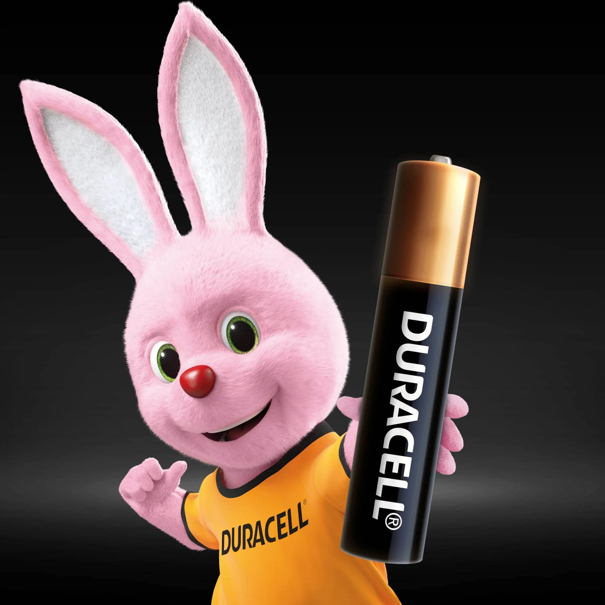 Duracell pilas alcalinas AAAA 1,5 V paquete de 2 LR8D425