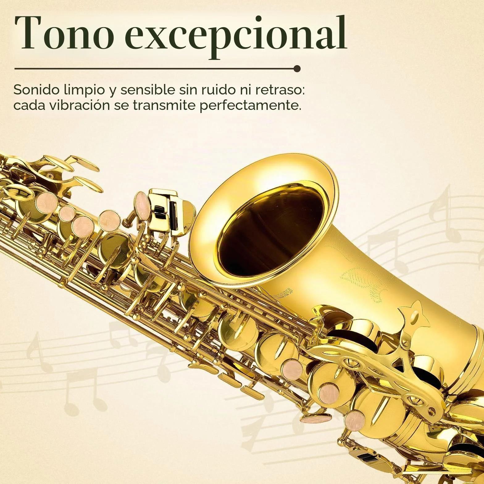 SONICAKE Saxofón Alto Mi bemol Barnizado en Oro, Kit completo para principiantes con estuche, boquilla, cañas, soporte y accesorios QSX-01