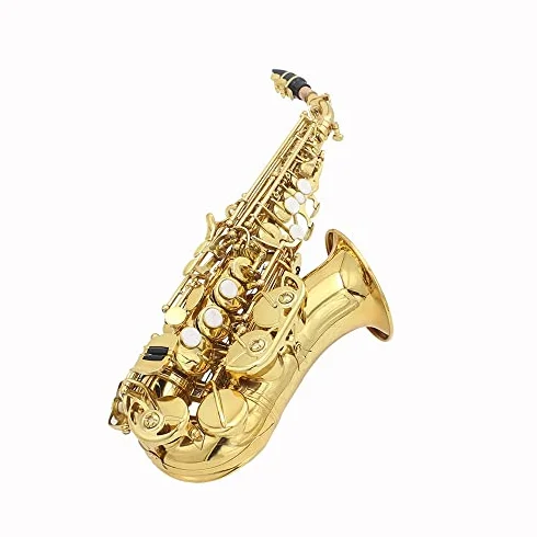 Saxofón, espina curva de latón con patrón tallado, instrumento soprano, incluye funda, guantes, paño de limpieza y cinturón