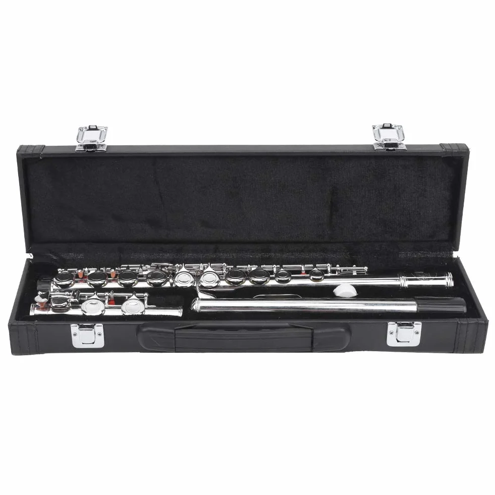 Flauta, desmontable, caja de transporte, flauta travesera, estudiantes principiantes, adultos, amantes de la música, aprendizaje, interpretación, viajes