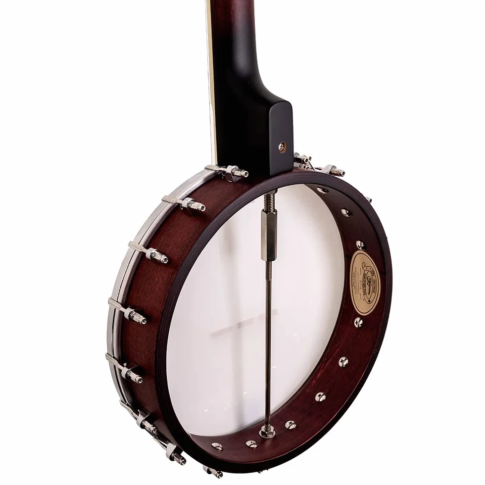 Washburn B-9 5-string Banjo - Natural