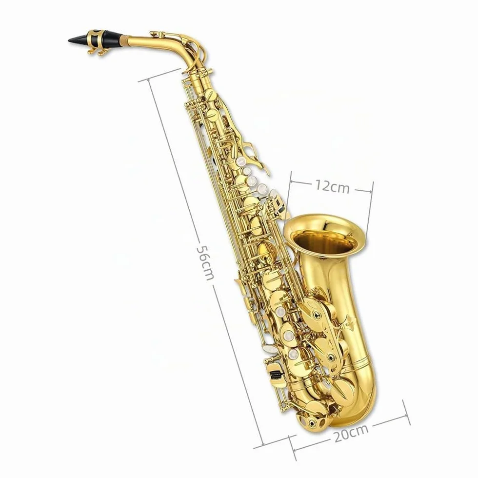 Kit completo de saxofón alto E Flat para adultos, saxofón alto, con funda de transporte, correas para boquilla, lengüetas, saxofón, kit para principiantes