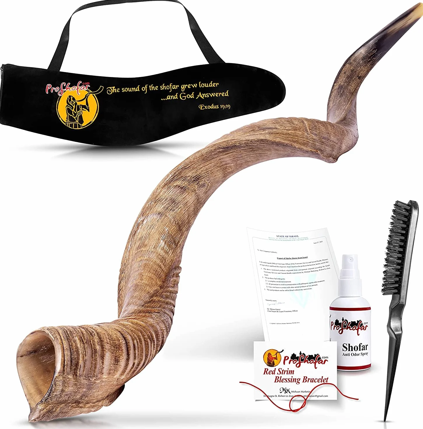 Shofar de Israel kosher - Shofar Natural Kudu Horn - Instrumento musical tradicional yemenita para ceremonias espirituales judías y sermones religiosos, fabricado en Israel