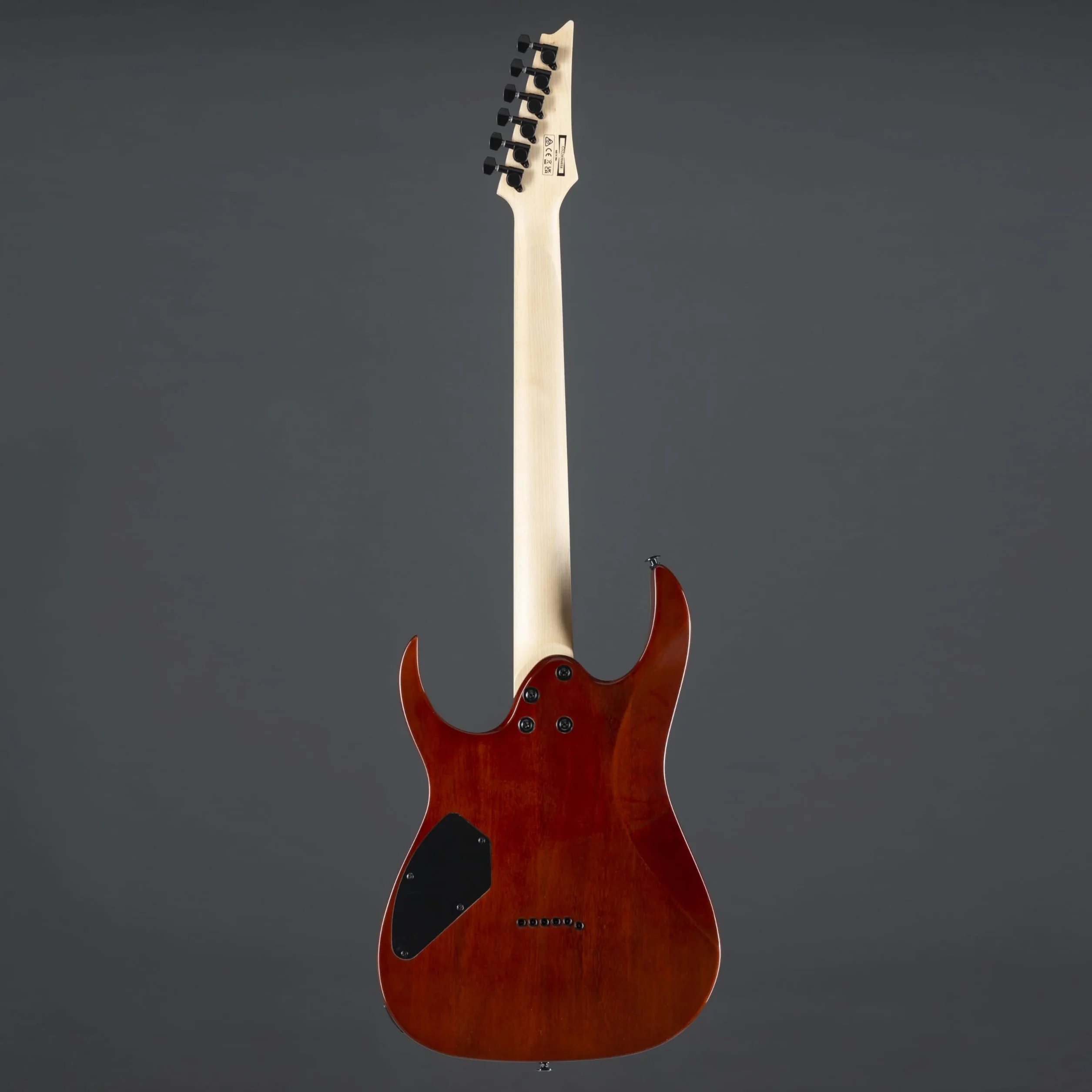 Ibanez GRGR221PA-AQB GIO Series - Guitarra eléctrica (Aqua Burst)