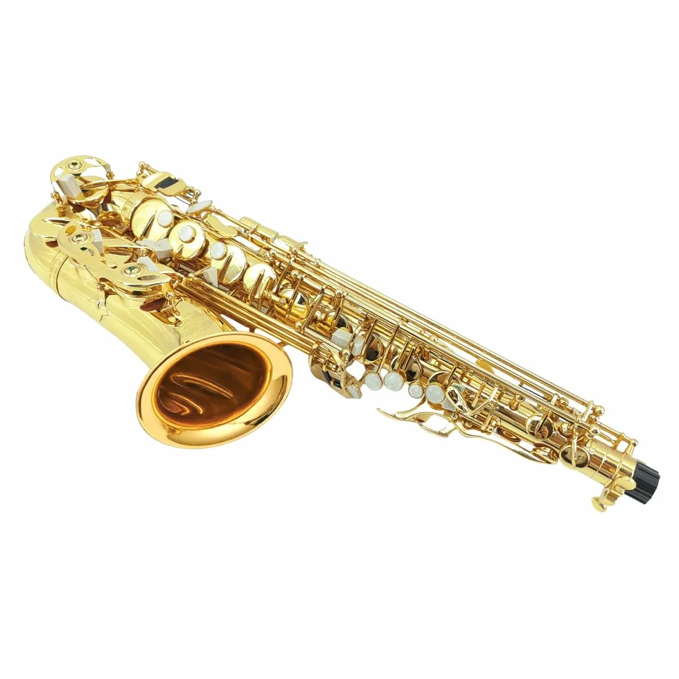 Saxofón alto en mi bemol para adultos y estudiantes - Kit de iniciación con boquilla, estuche de transporte y 10 cañas (dorado)