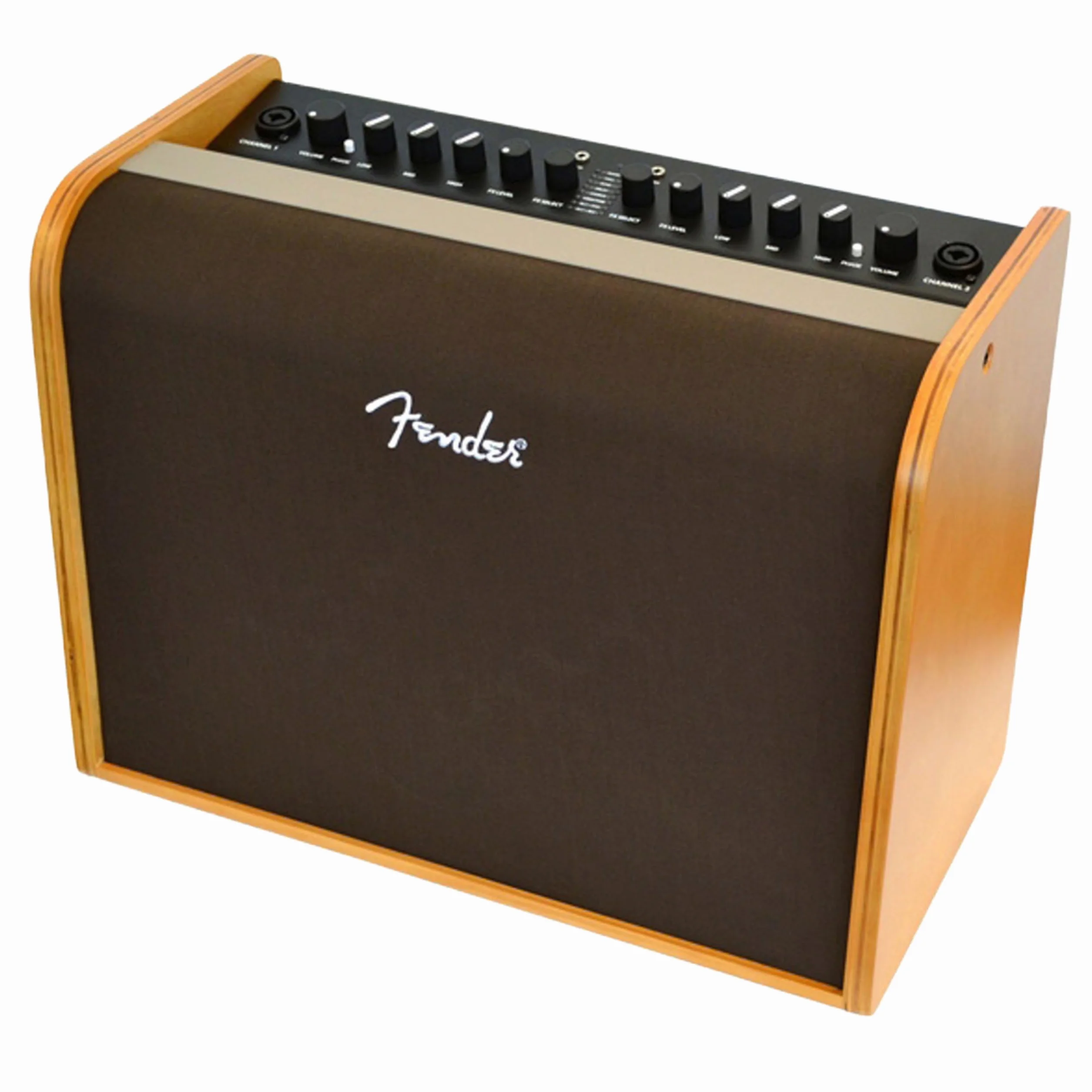Fender Acústica 100