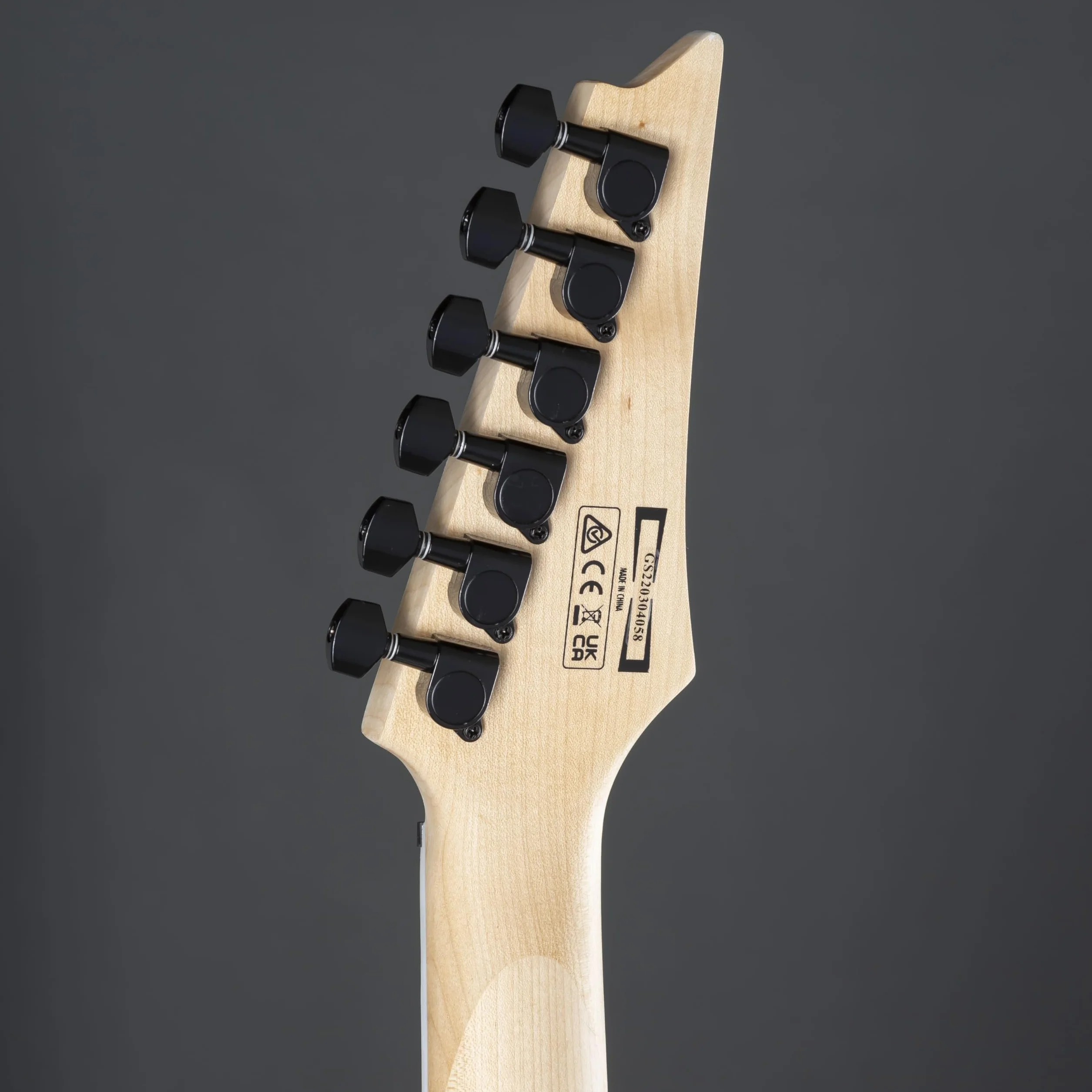 Ibanez GRGR221PA-AQB GIO Series - Guitarra eléctrica (Aqua Burst)
